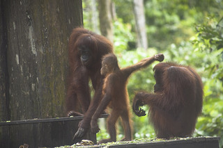 2905362099_4c2211ee40_n