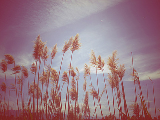 10610341666_84e791f7be_n