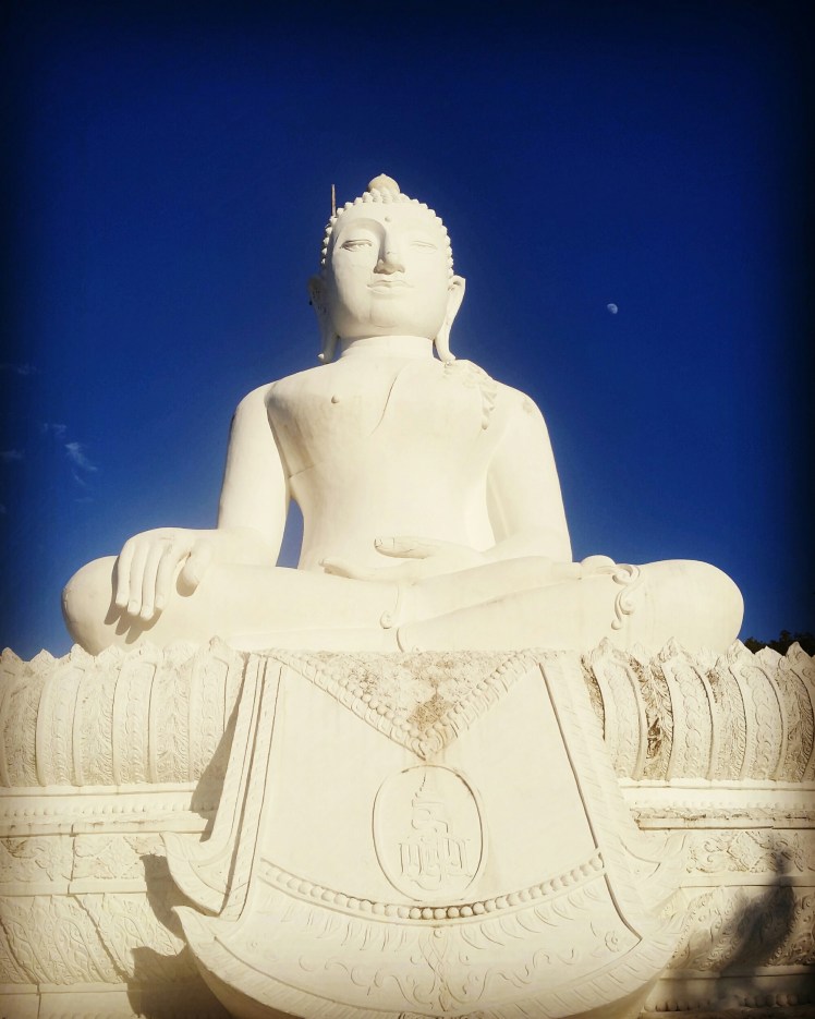 IMG_20151122_103809.jpg image