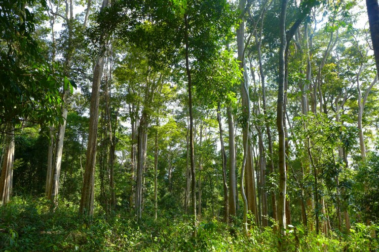 IMG_20160206_113011.jpg image