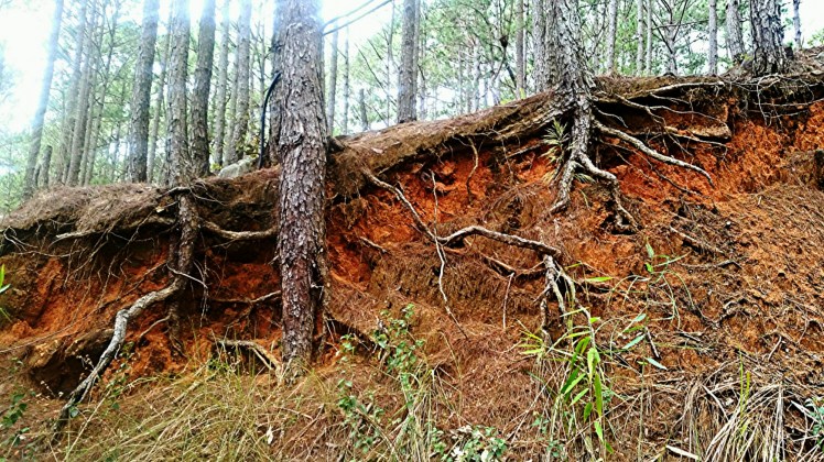 2016-02-29_10.46.24.jpg image