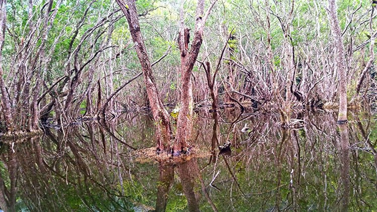 2016-03-12_19.55.50.jpg image