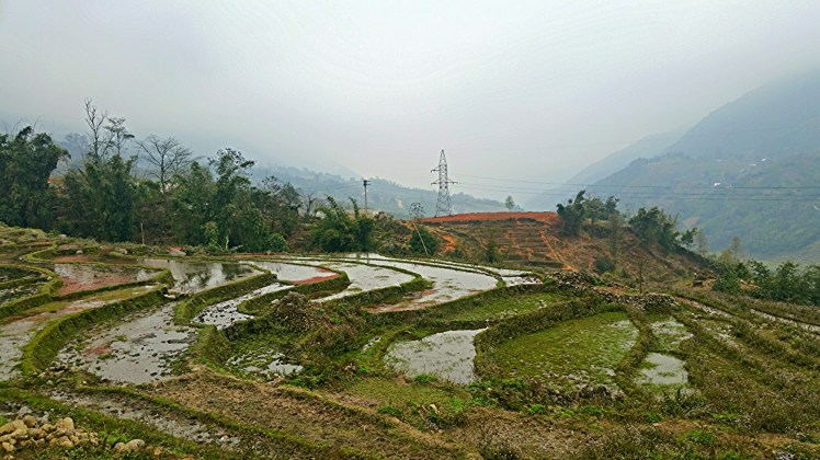 2016-03-14_19.45.55.jpg image