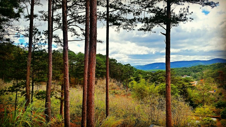 IMG_20160228_080918.jpg image