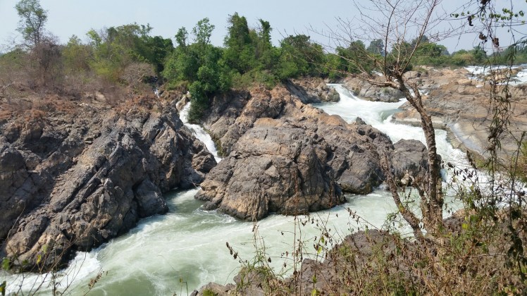 20160406_134647.jpg image