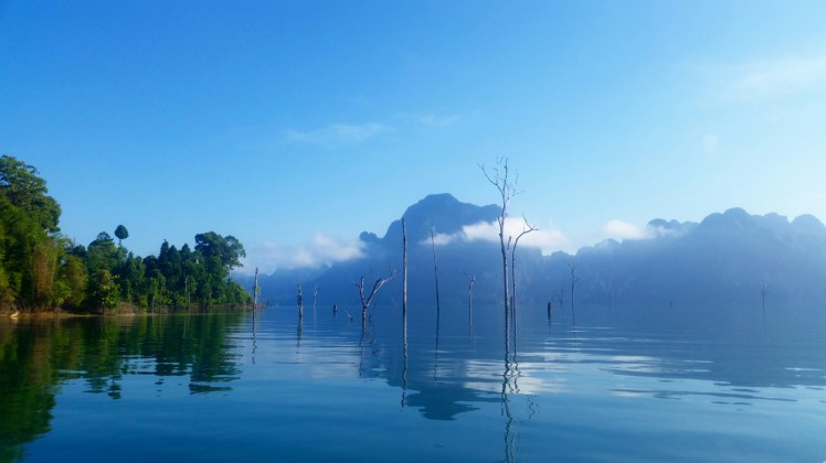 IMG_20151218_085407.jpg image