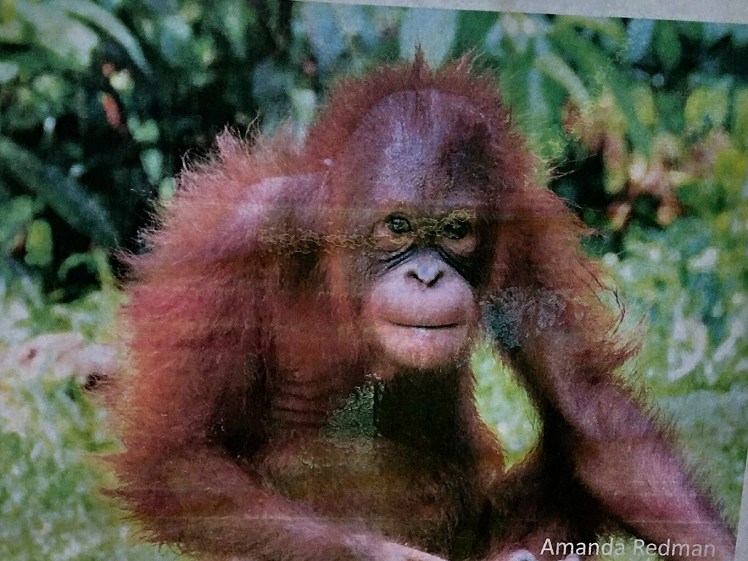 2016-05-17_07.16.51.jpg image