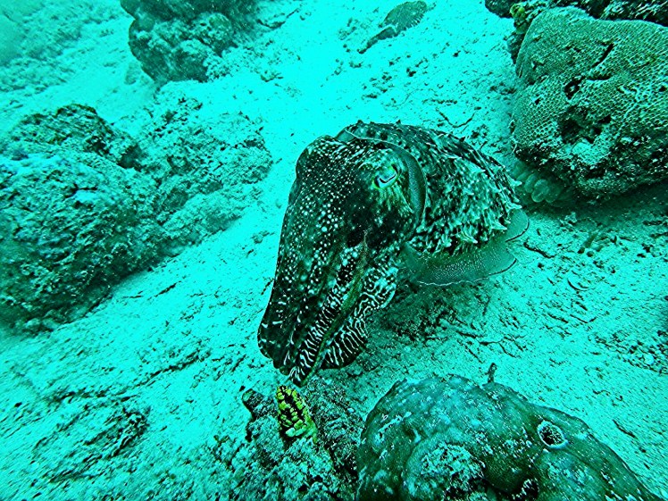 2016-05-28_21.59.47.jpg image