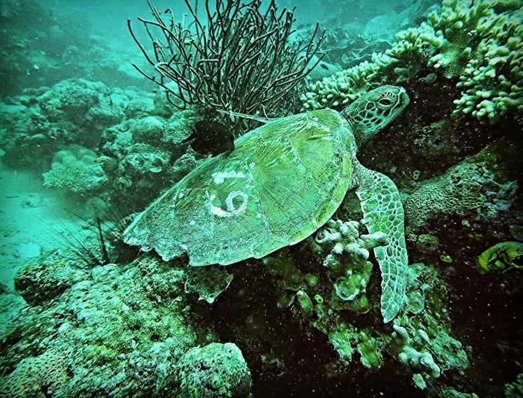 IMG_20160528_211422.jpg image