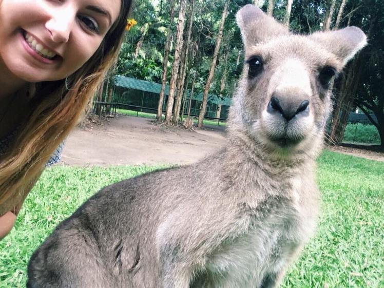 19206533_10156257433414951_1666269672_n